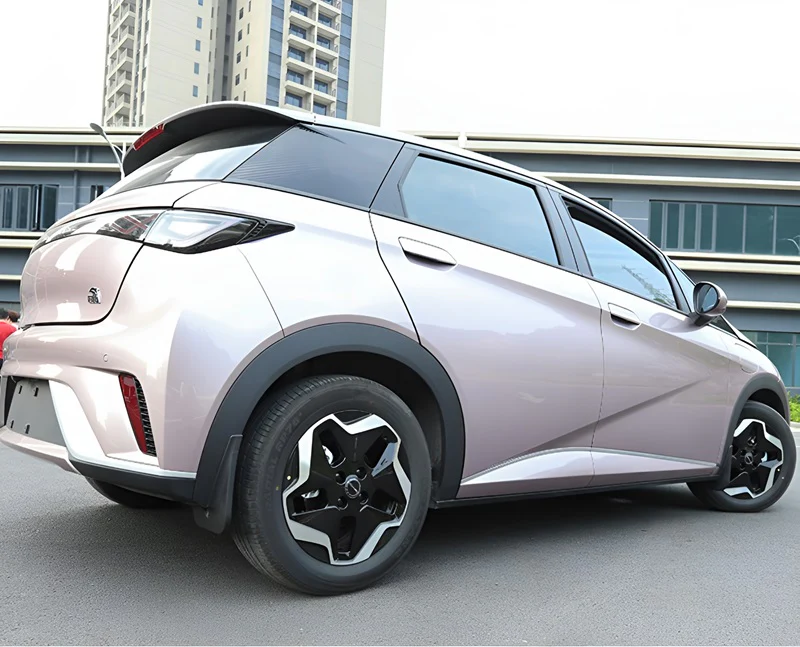 Mud Flaps for BYD Dolphins - Image 8